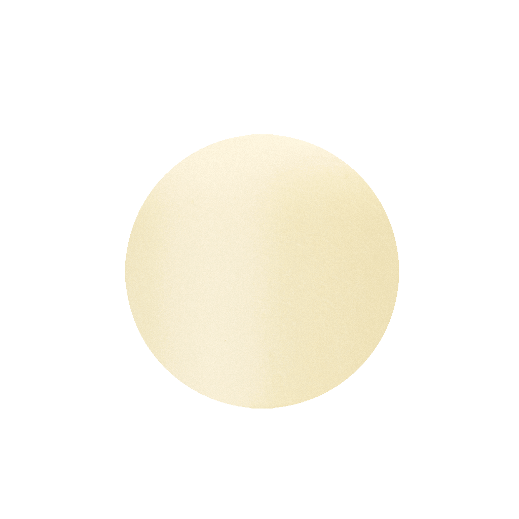 Mesoprotech Sun Protective Repairing Stick SPF100+